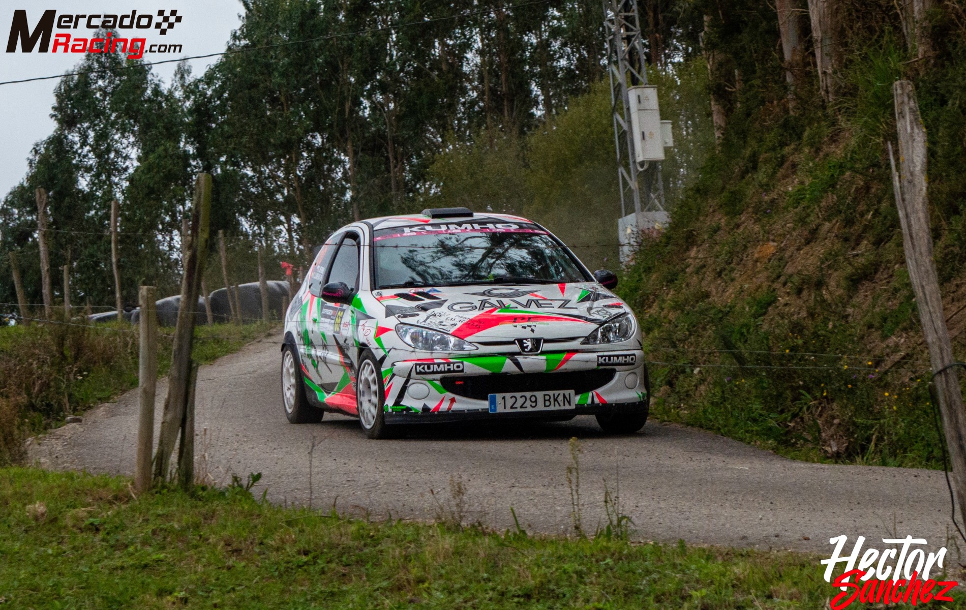 Peugeot 206 1.6 16v grupo a