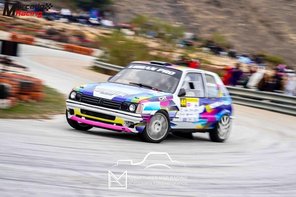 Peugeot 205 gti