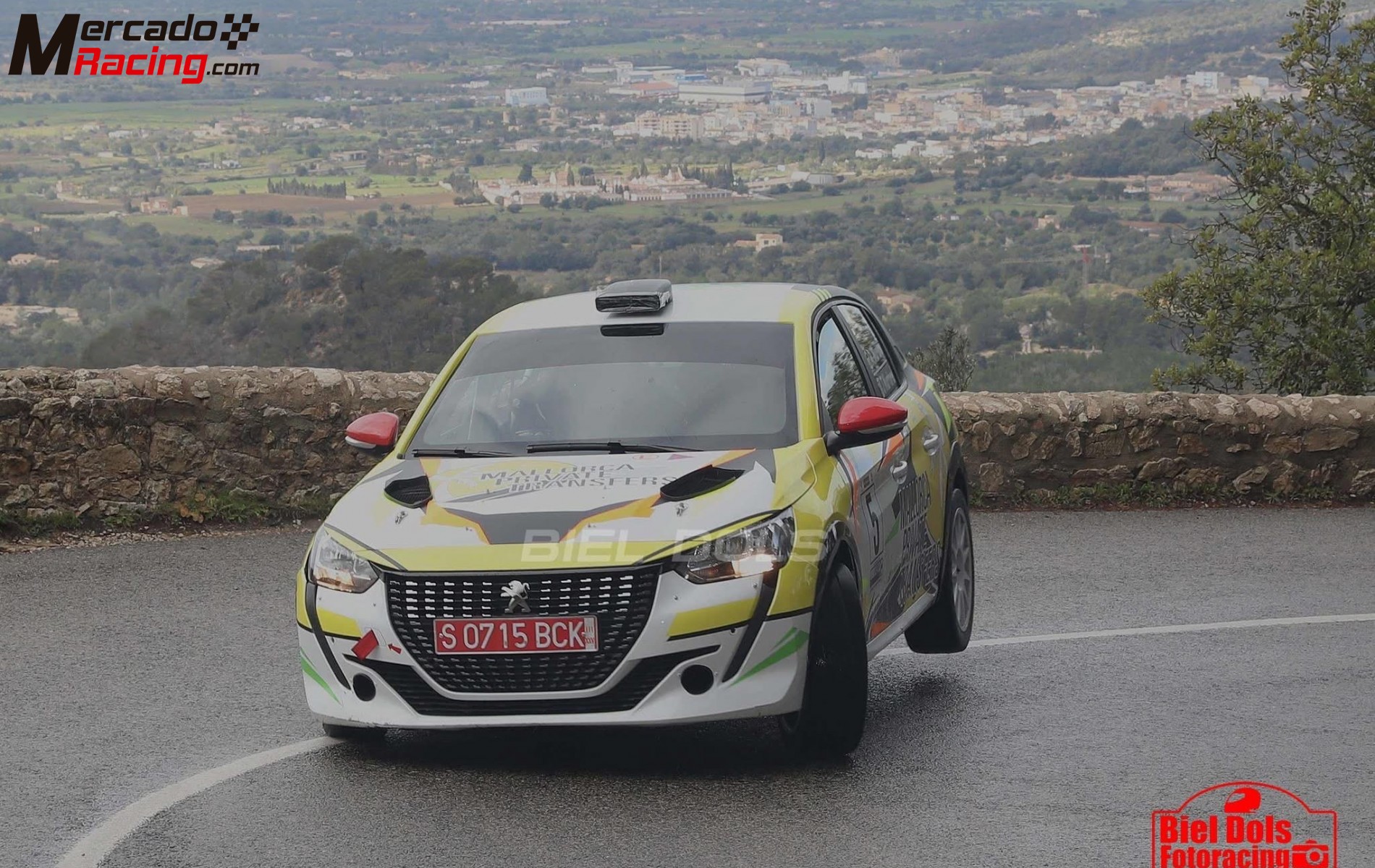 208 rally 4 asfalto