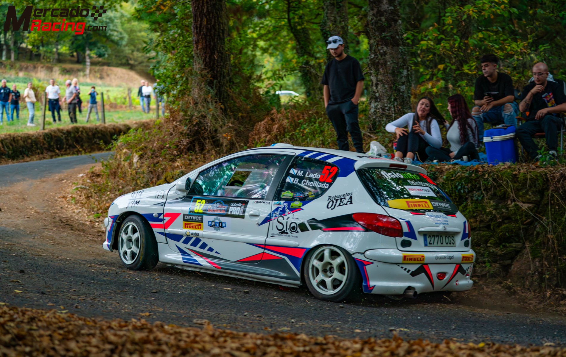 Peugeot 206 original desafio rally