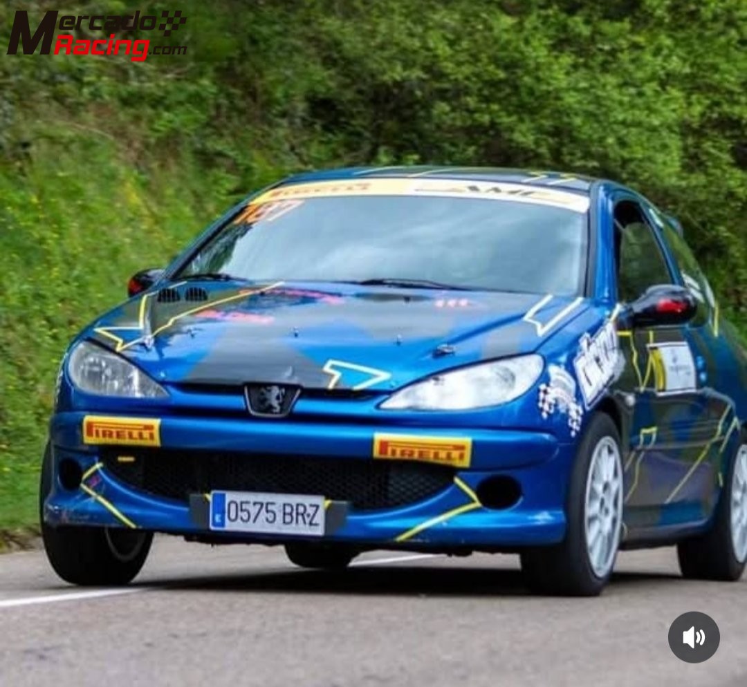 Se vende peugeot 206 de rallyes 