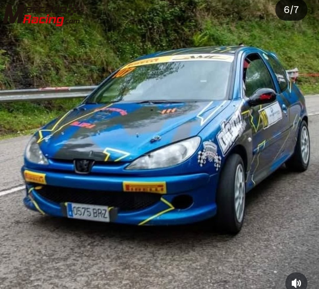 Se vende peugeot 206 de rallyes 