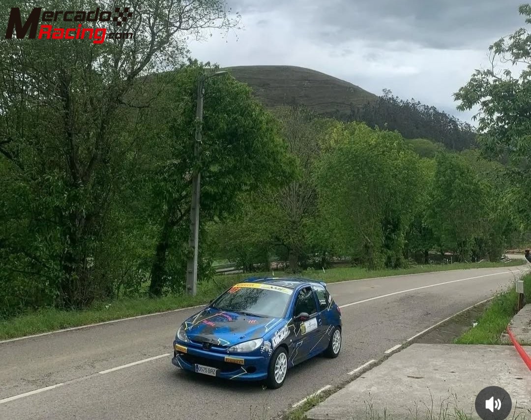 Se vende peugeot 206 de rallyes 