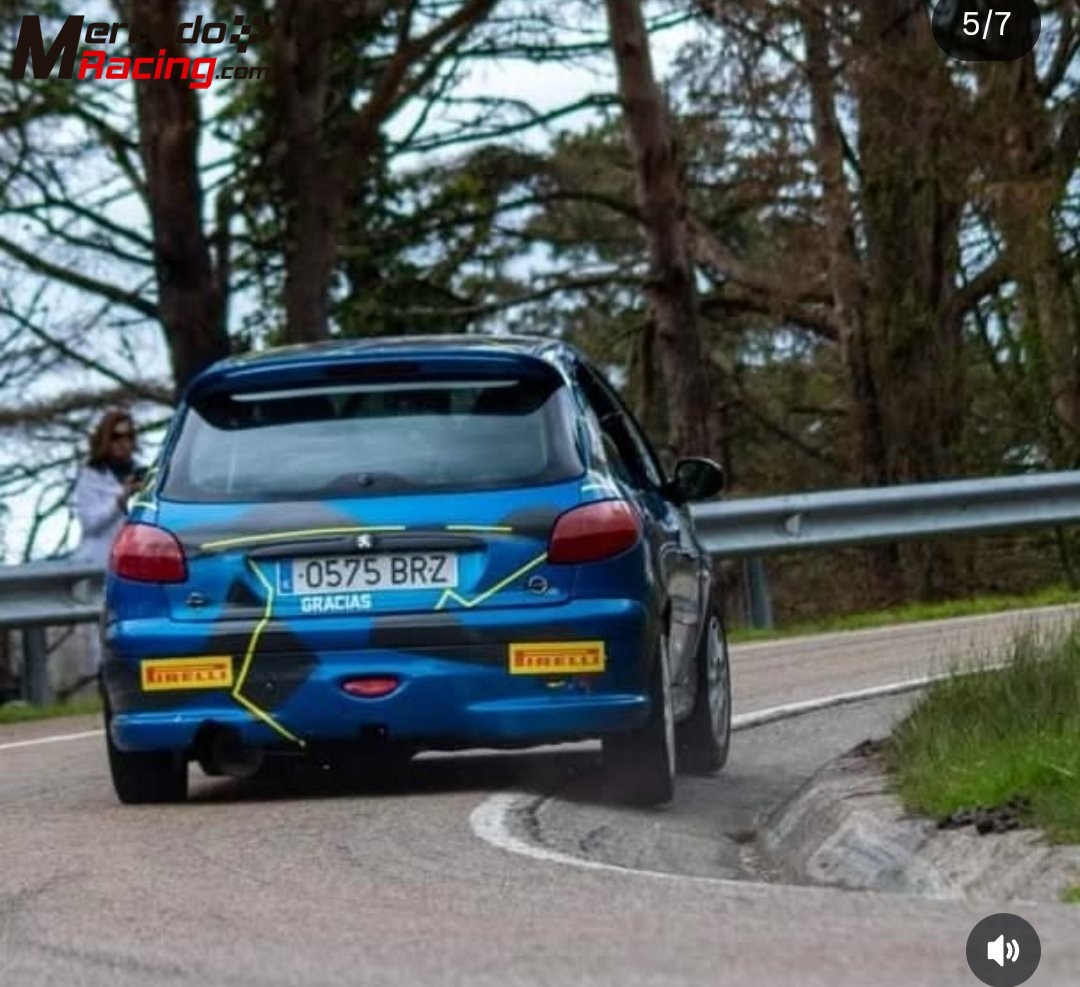 Se vende peugeot 206 de rallyes 