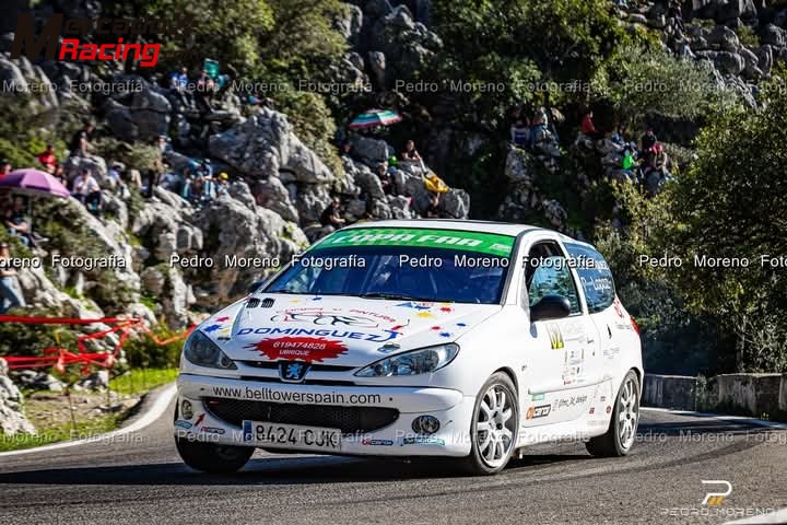 Peugeot 206  xs