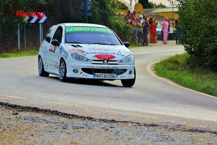 Peugeot 206  xs