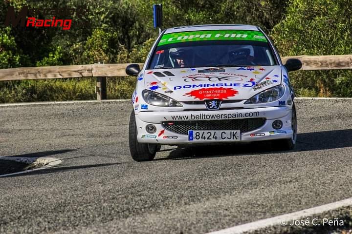 Peugeot 206  xs