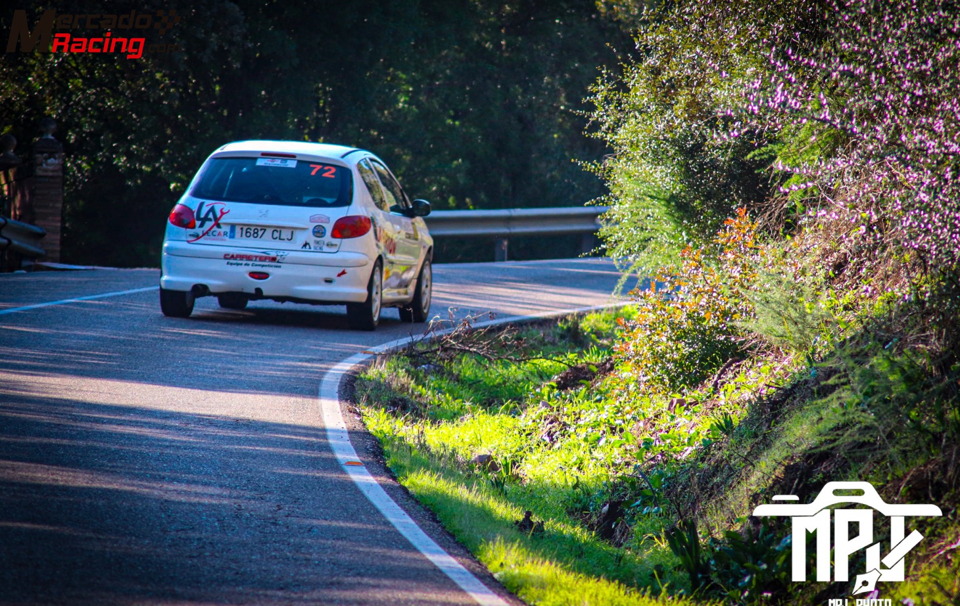 Peugeot 206xs homologado rally