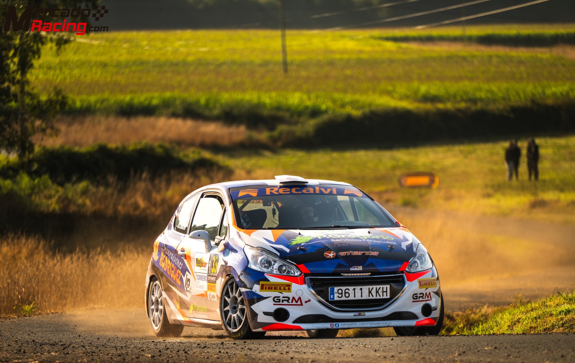 Peugeot 208 r2
