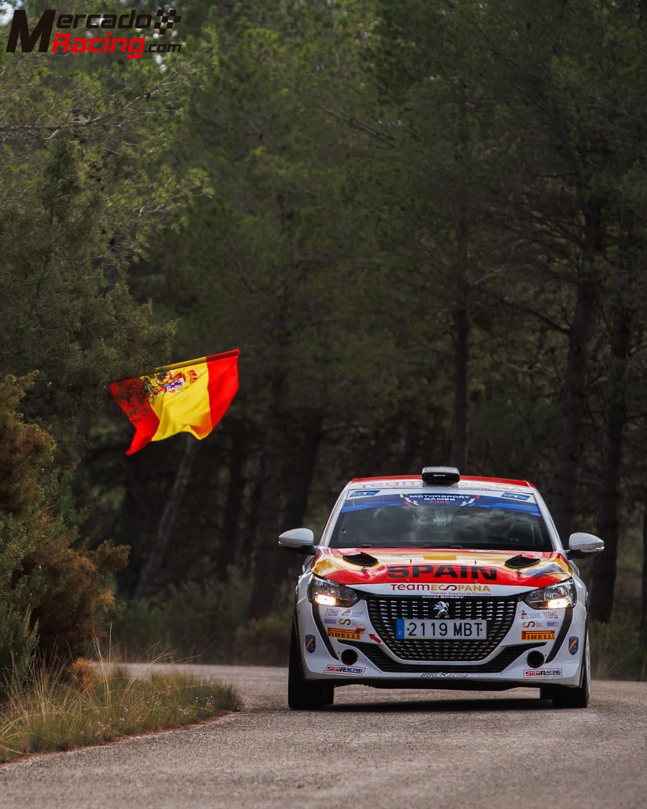 Peugeot 208 rally4