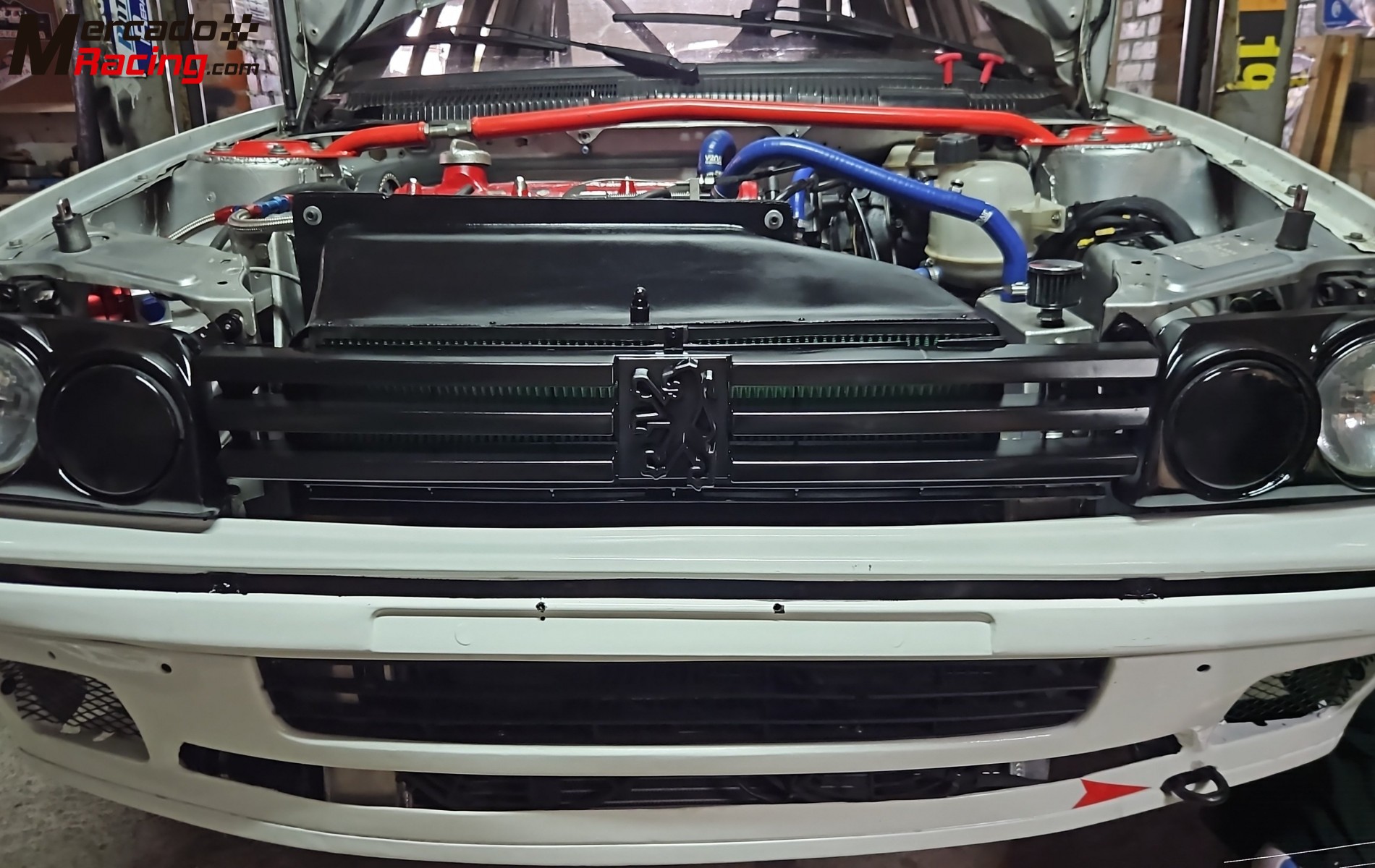 Peugeot 205 gti f2000 230cv