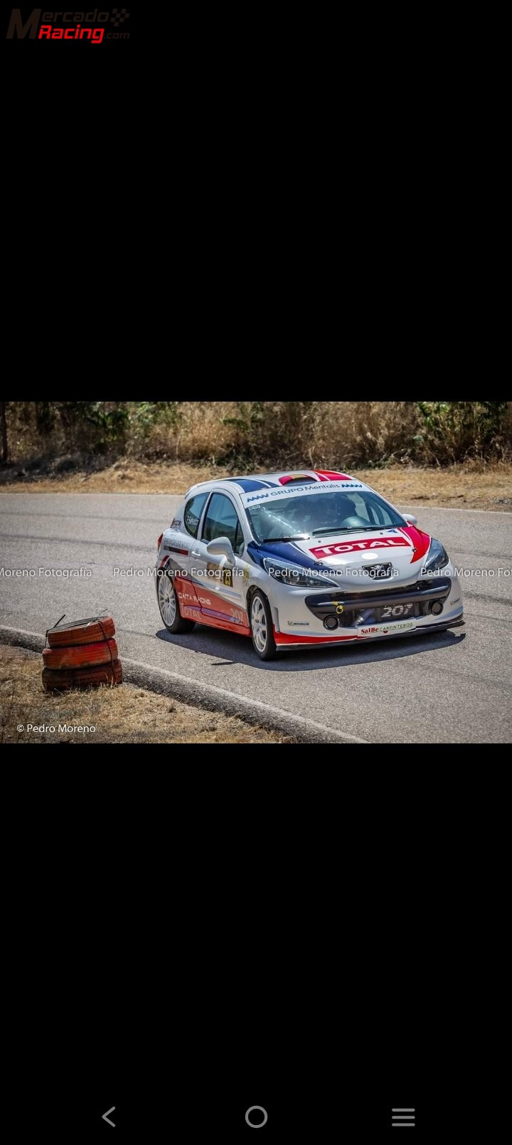 Peugeot 207rc 