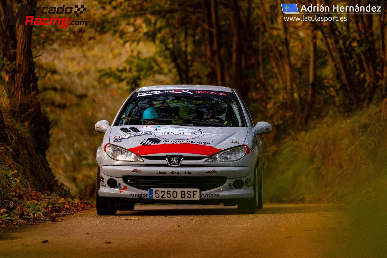 Peugeot 206 xs
