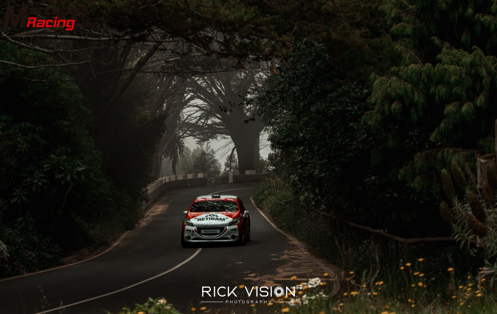 Peugeot 208 r2 - kit asfalto y tierra