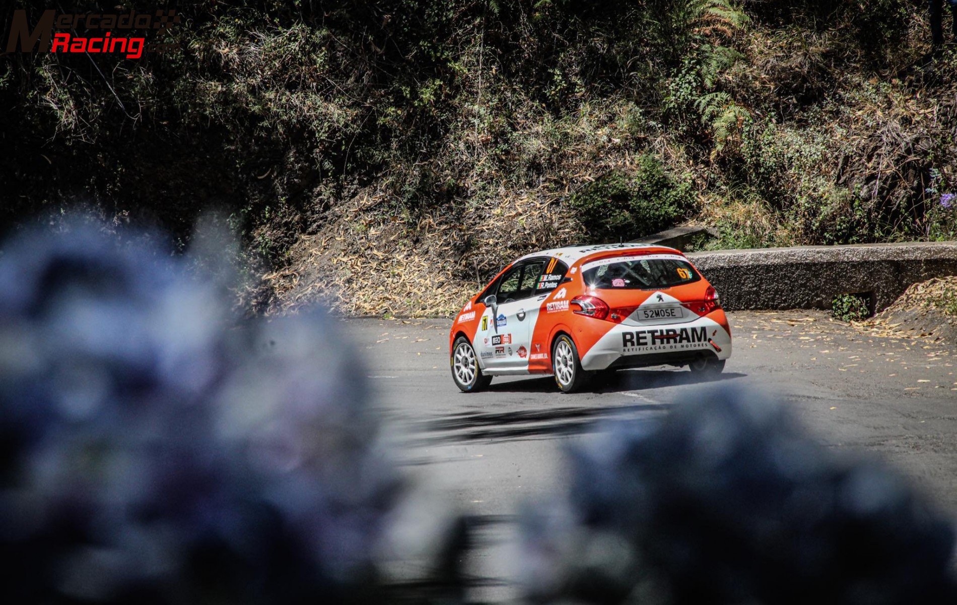 Peugeot 208 r2 - kit asfalto y tierra