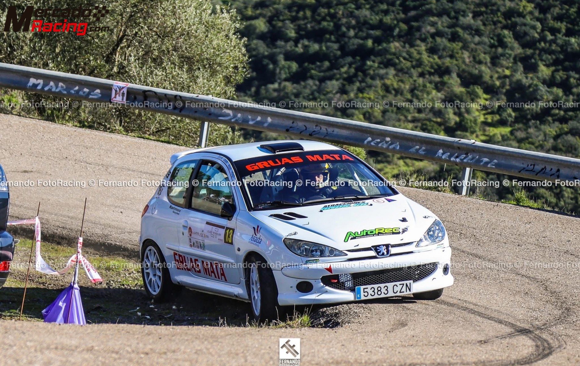 Peugeot 206 xs