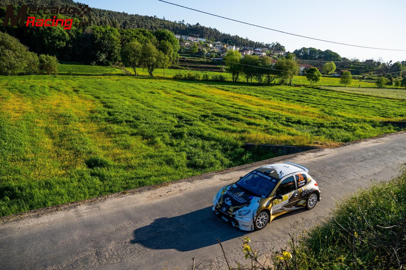 Peugeot 206 s1600 ex-peugeot españa