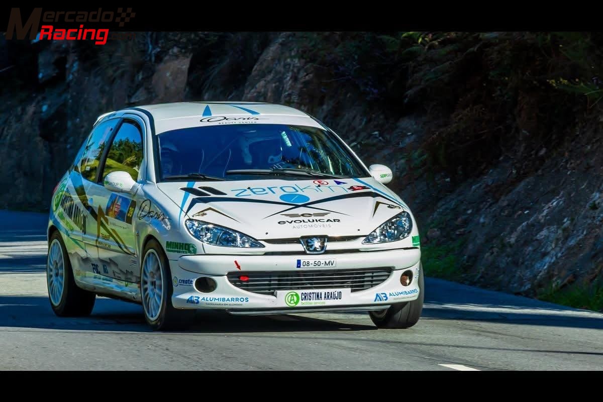 Peugeot 206 182cv 