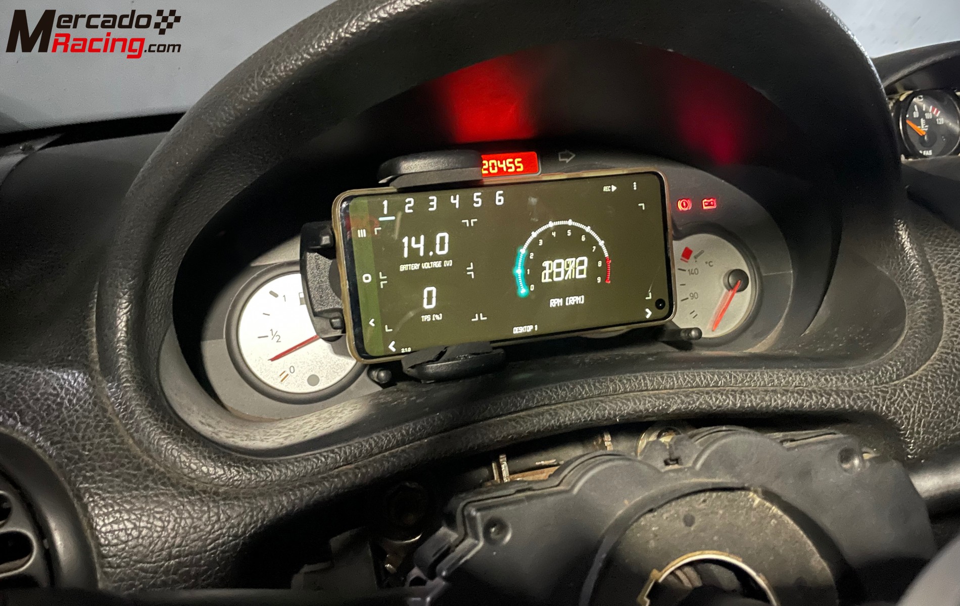 Peugeot 206 trofeo francés