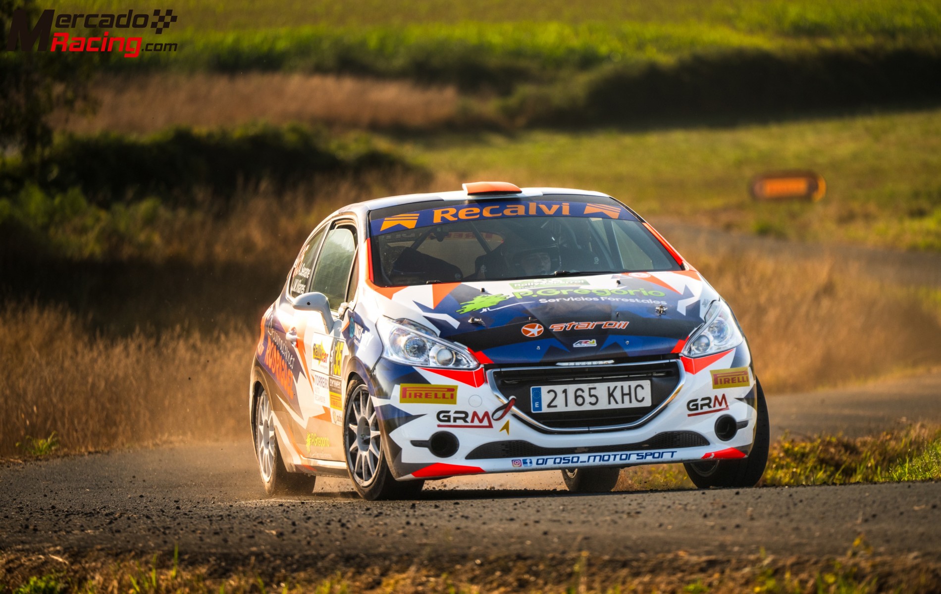 Pegueot 208 r2