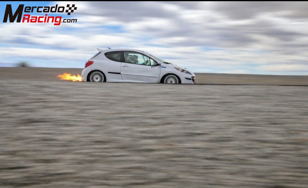 Peugeot 207 competición 
