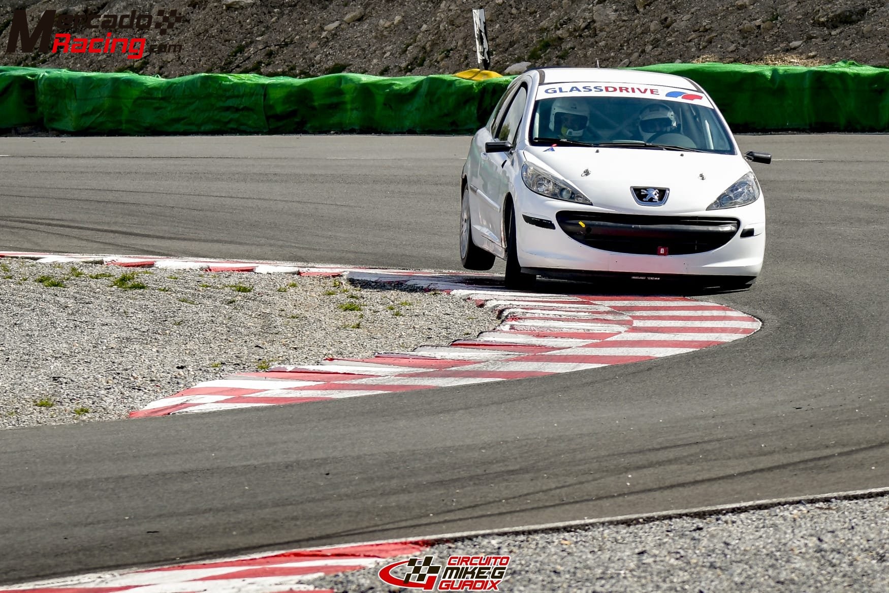 Peugeot 207 competición 