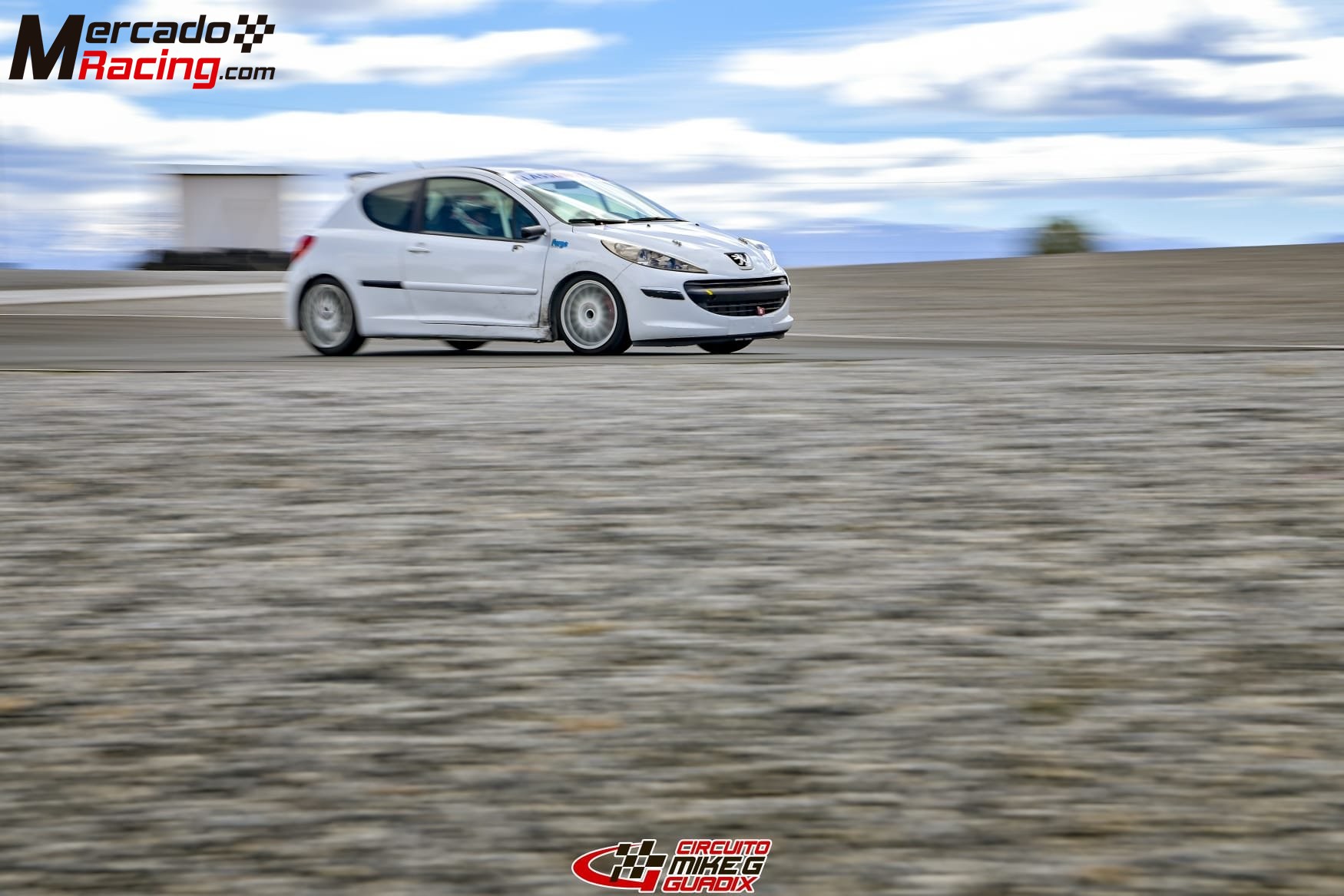 Peugeot 207 competición 
