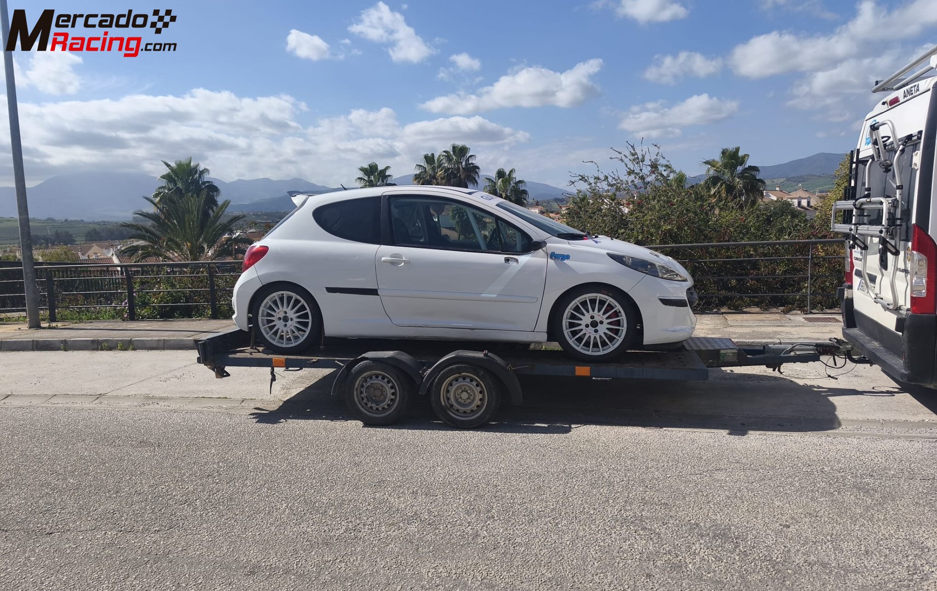 Peugeot 207 competición 