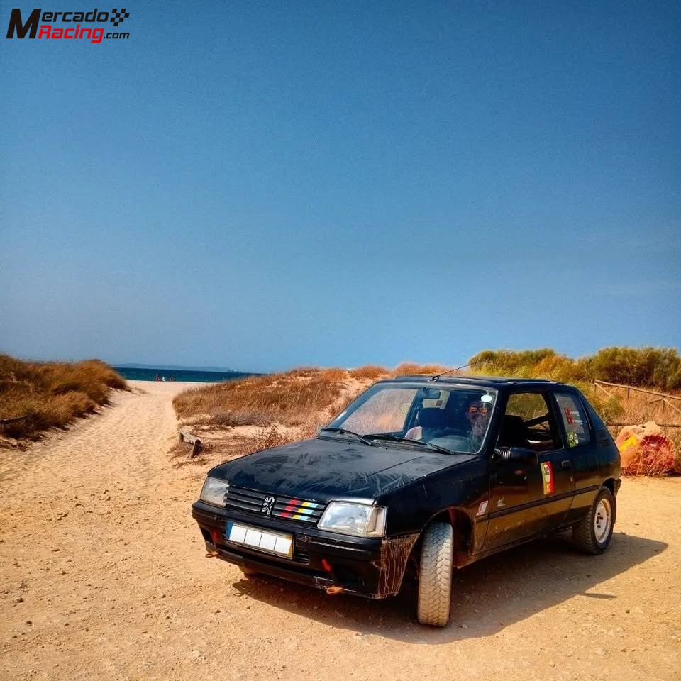 Peugeot 205 xs 1.4 raid