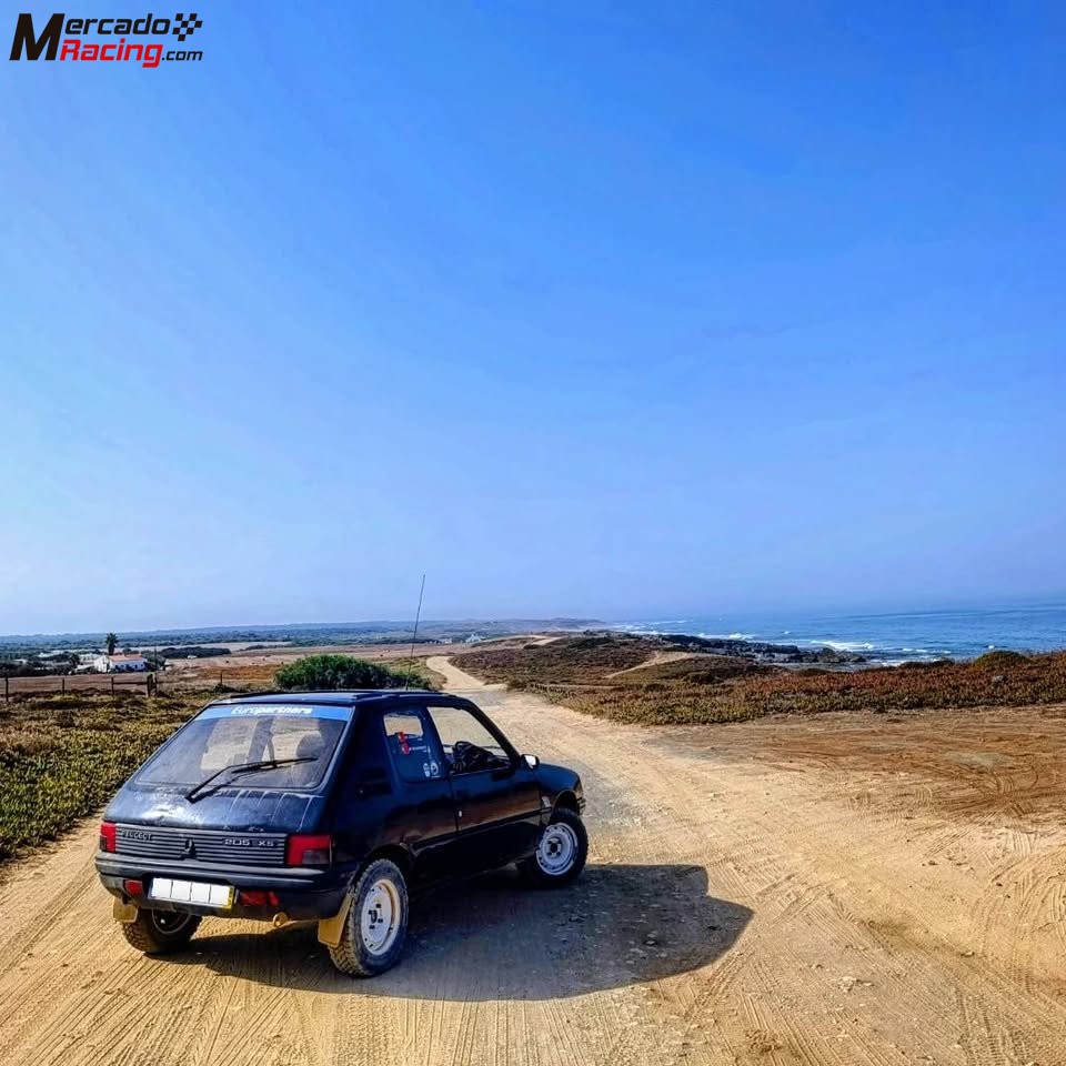 Peugeot 205 xs 1.4 raid