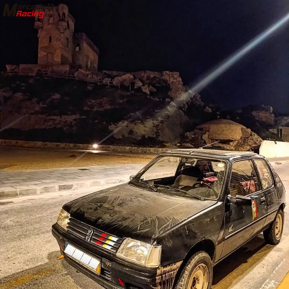 Peugeot 205 xs 1.4 raid