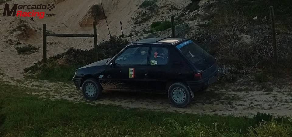 Peugeot 205 xs 1.4 raid