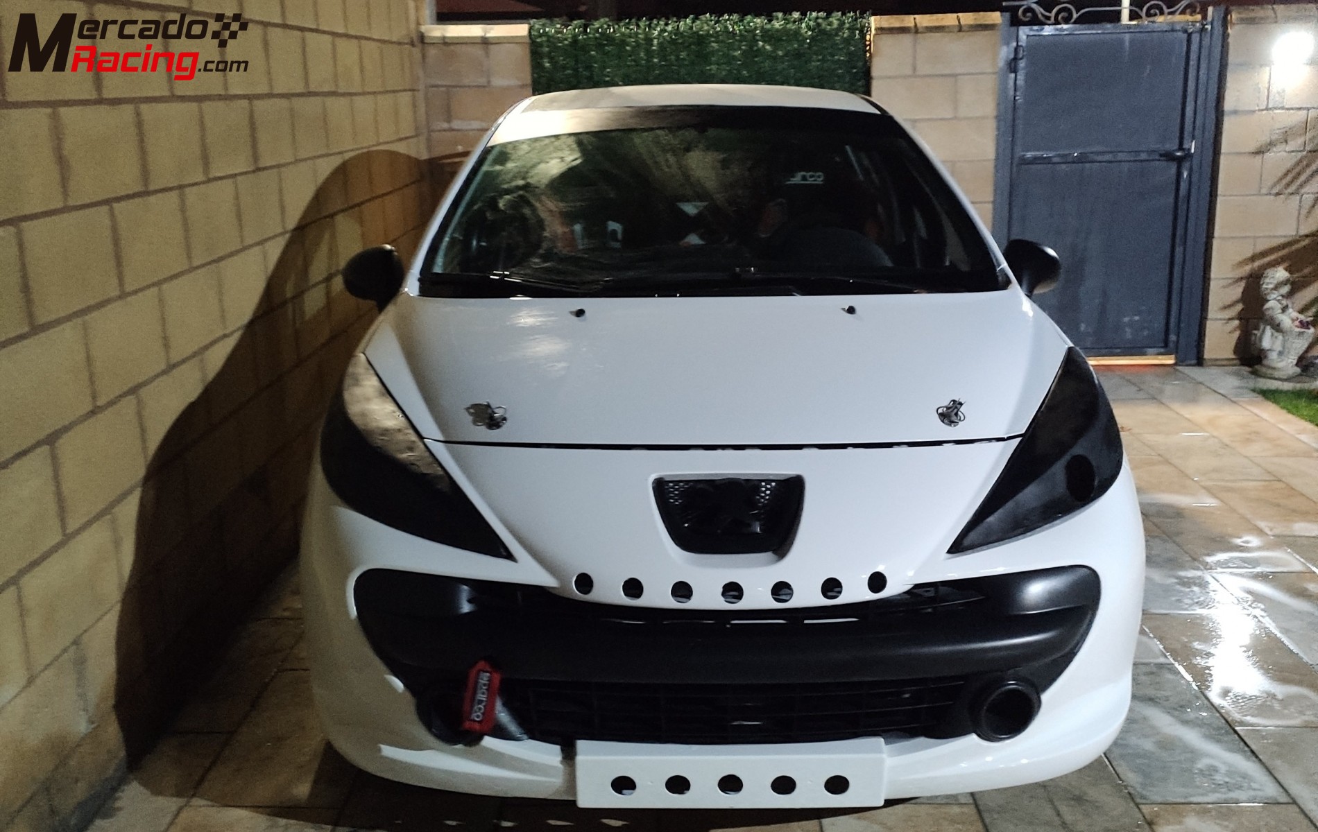 Peugeot 207 cup