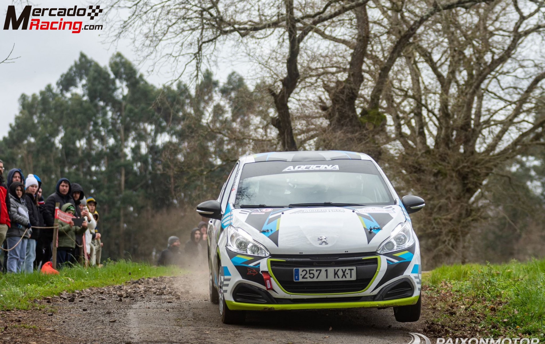 Peugeot 208 volanfapa