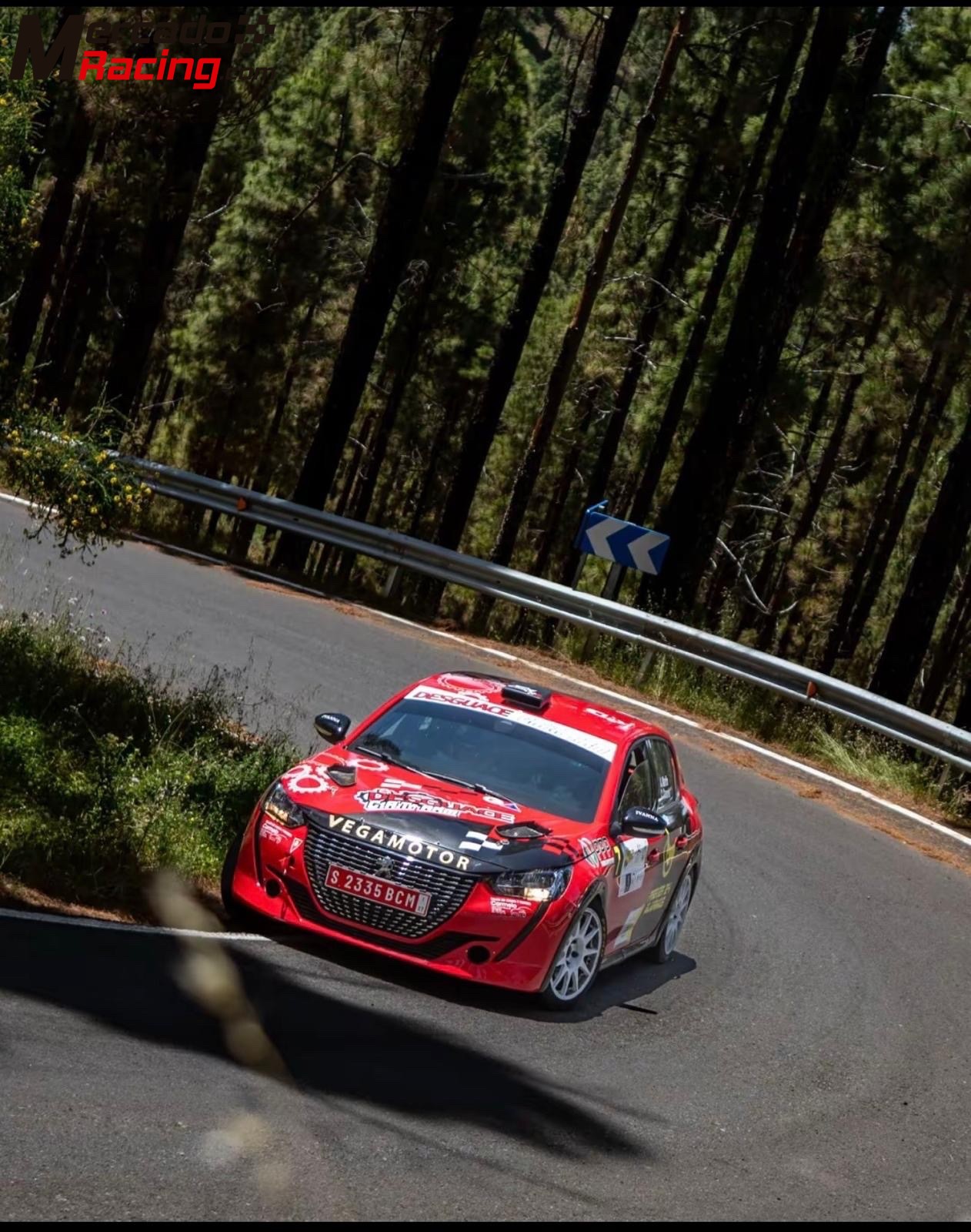Peugeot 208 rally 4 