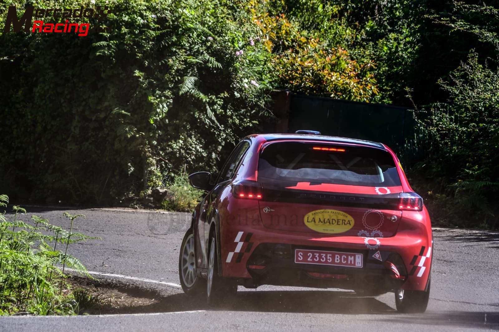 Peugeot 208 rally 4 