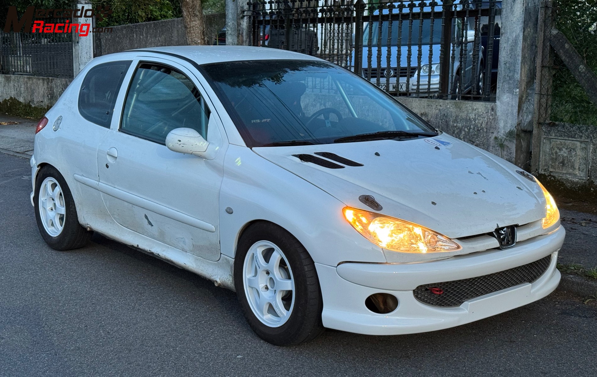 Peugeot 206 trofeo francés