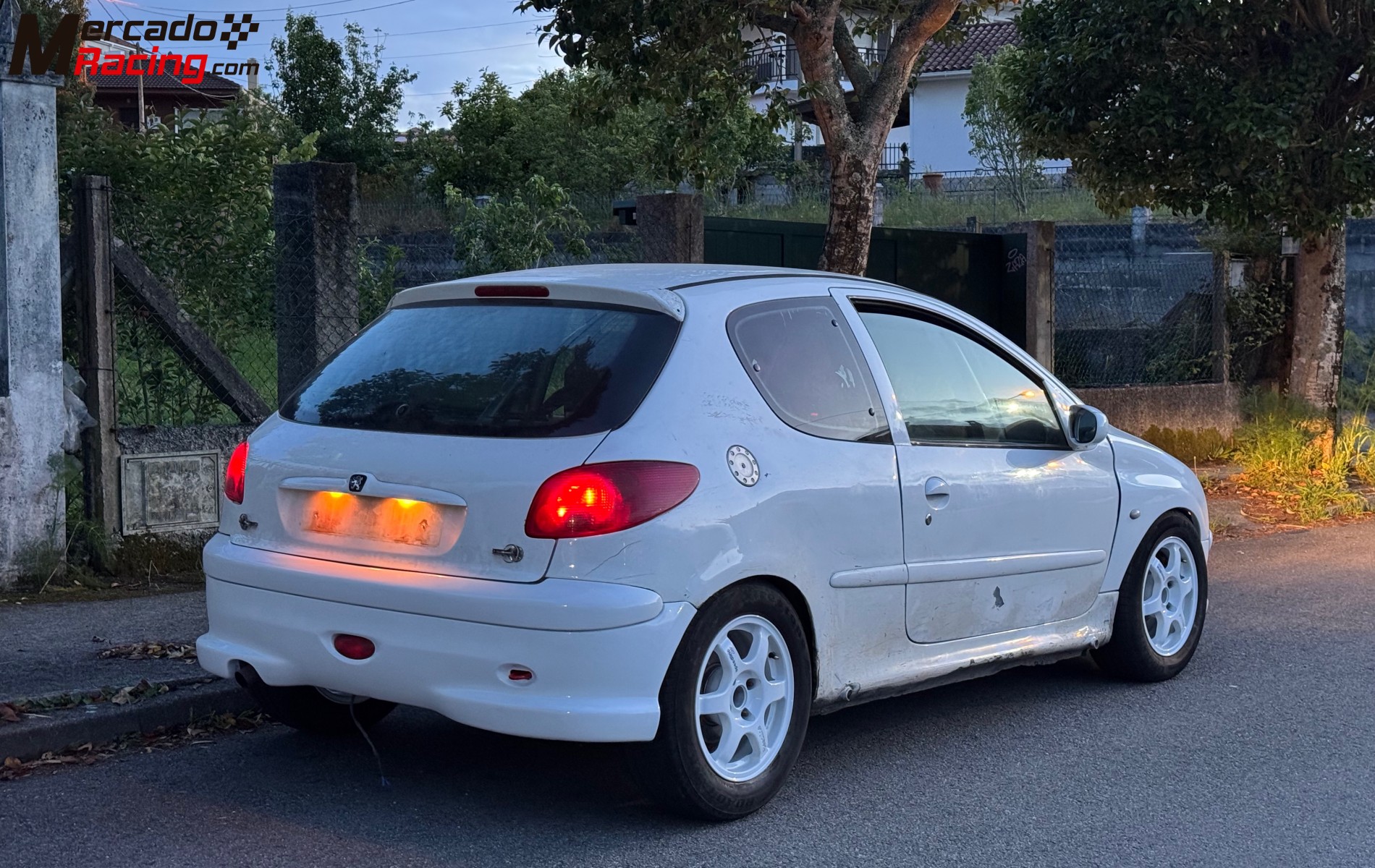 Peugeot 206 trofeo francés