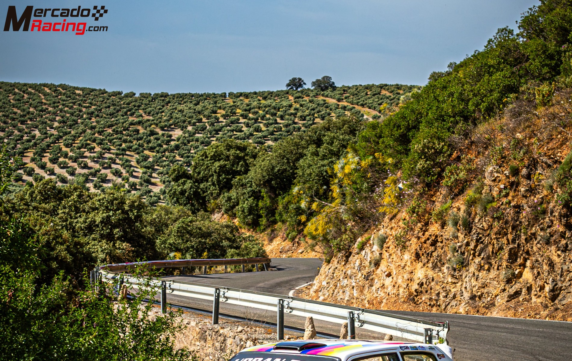 Peugeot 205 gti rallyes
