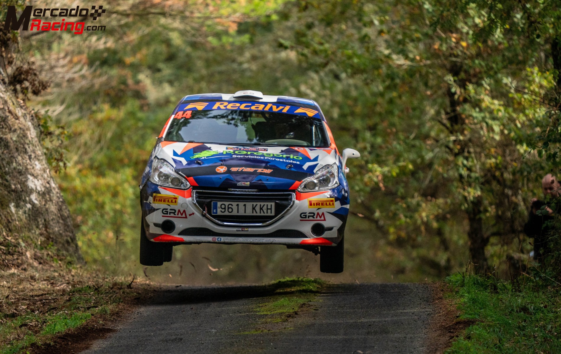 Peugeot 208 r2