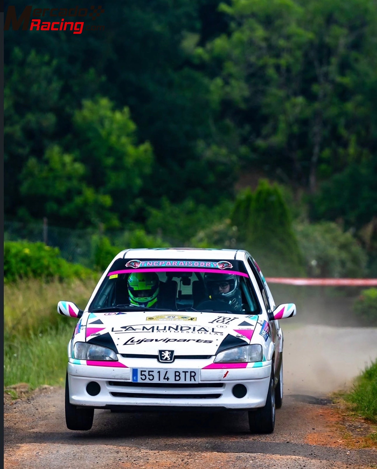 Peugeot 106 grupo a