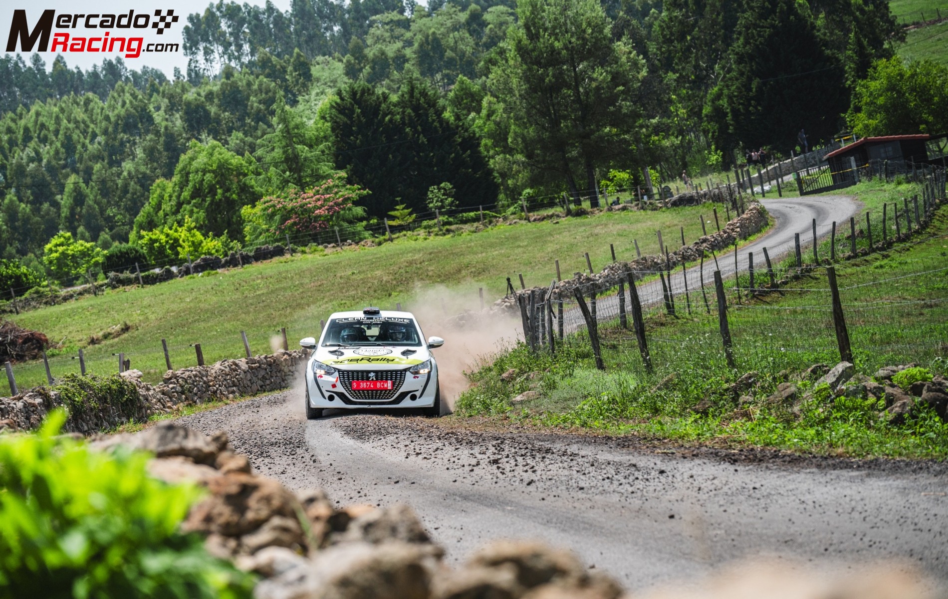 Peugeot 208 rally4 *nuevo* de 2026 de asfalto o tierra