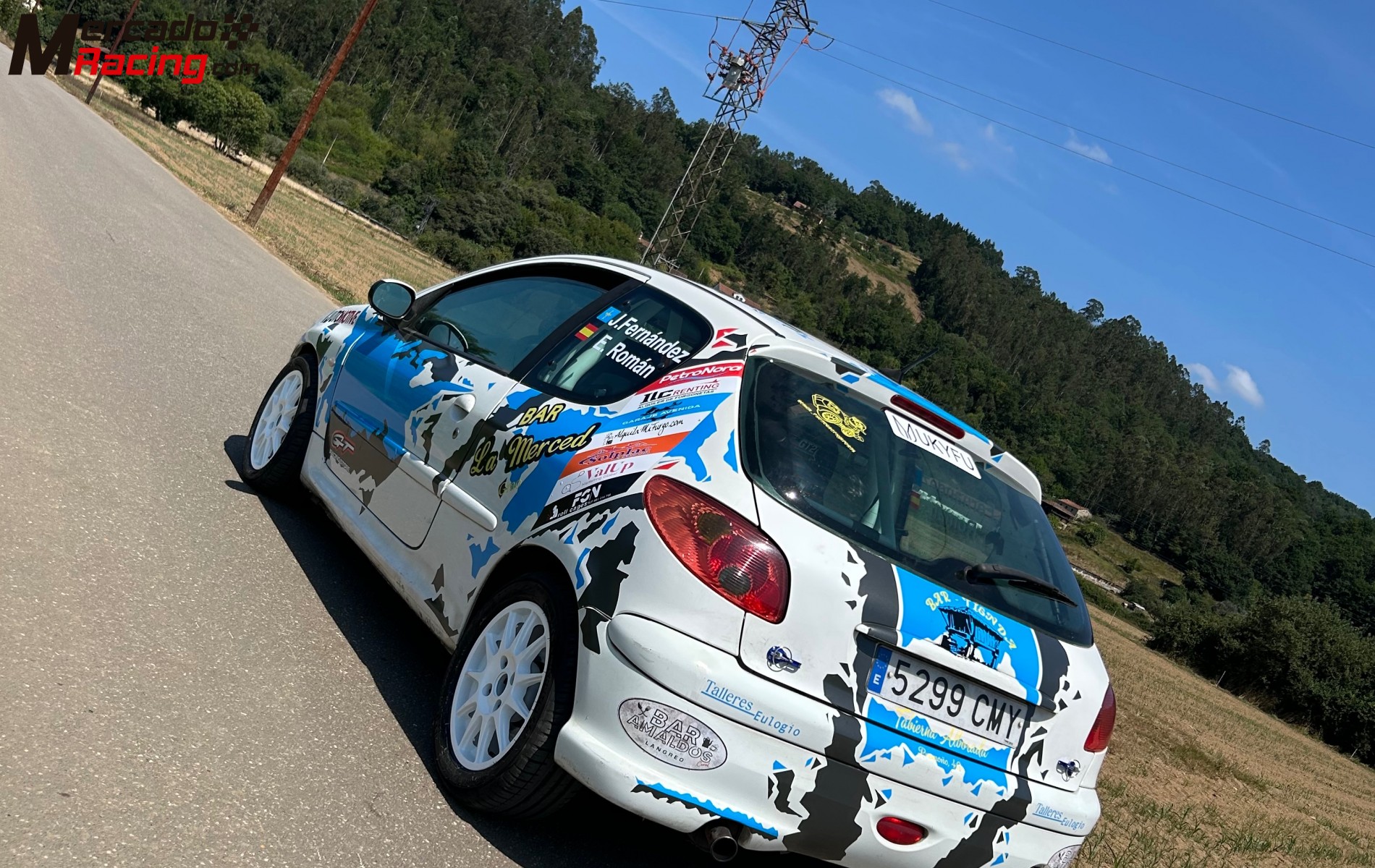206 top 180cv