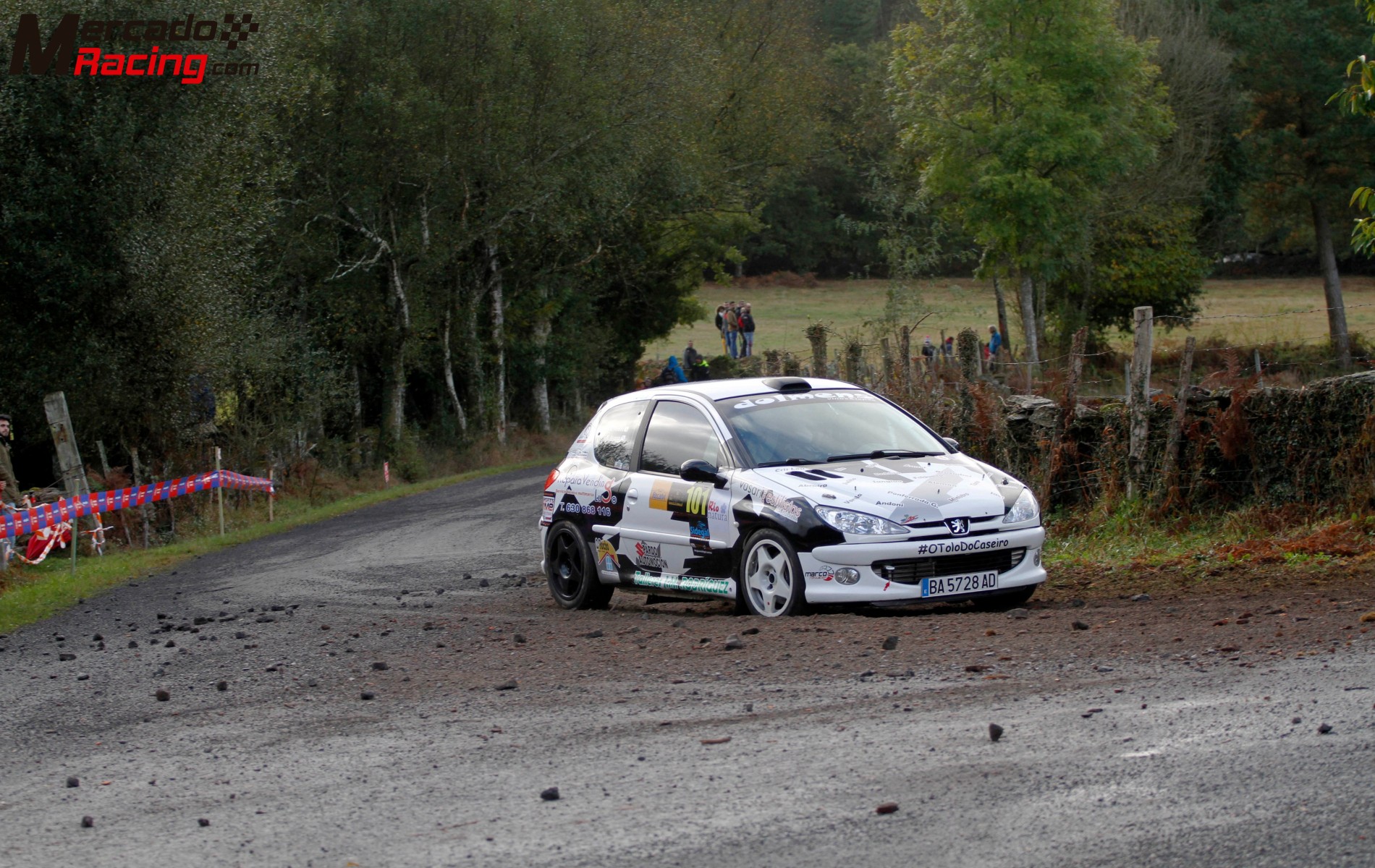 206 gti rallye