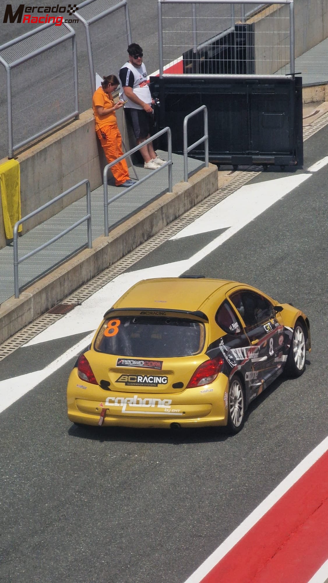 Peugeot 207 tipo s2000 campeon nacional clase 3 