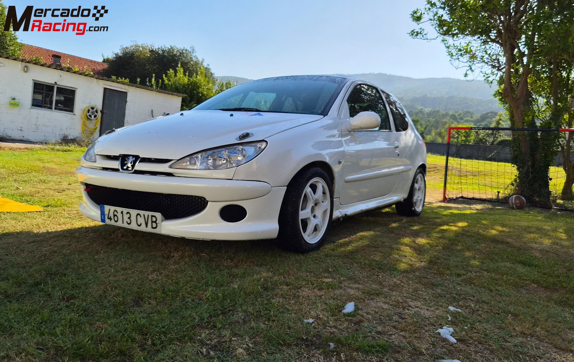 Vendo/cambio 206 desafio
