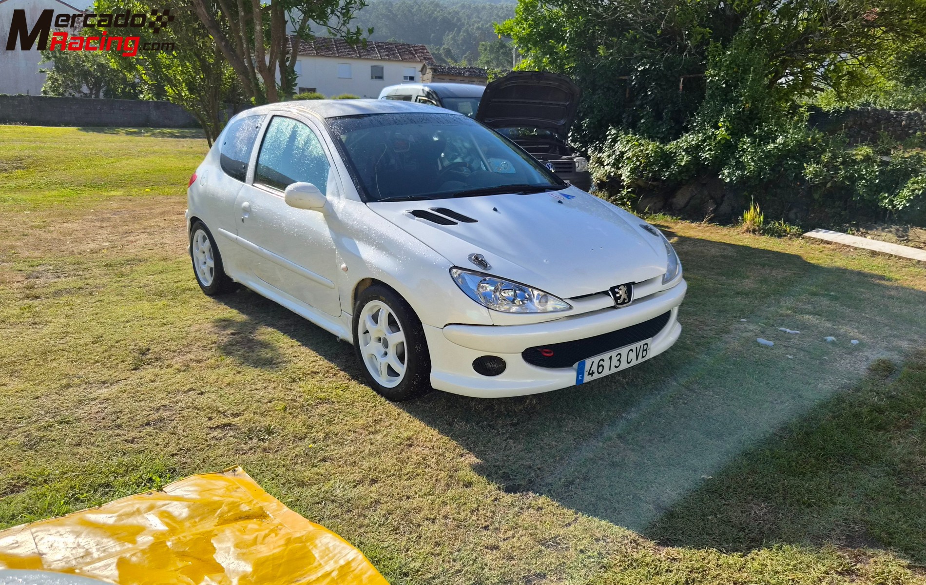 Vendo/cambio 206 desafio