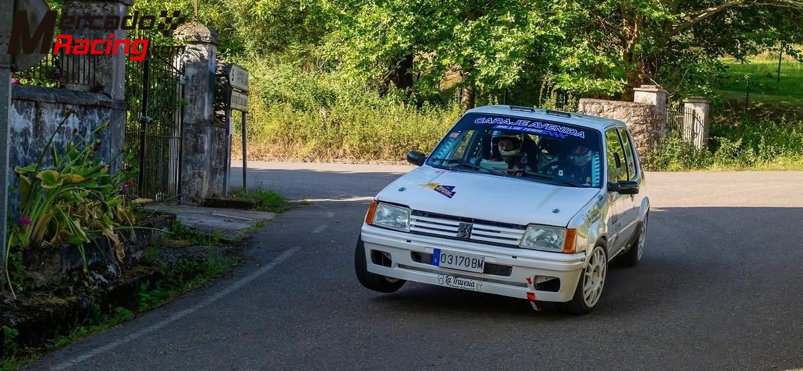 Peugeot 205 