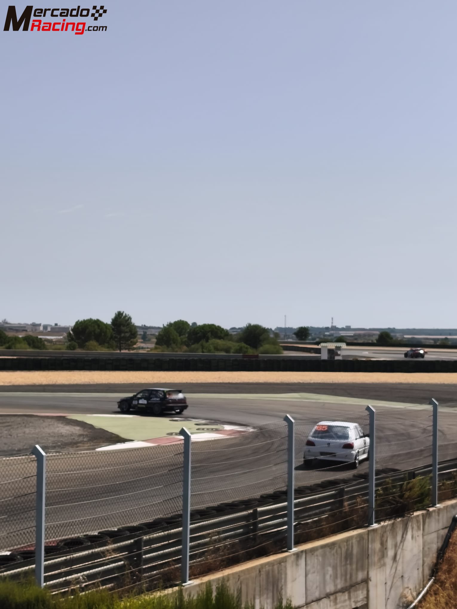 Peugeot 306 circuito y montaña