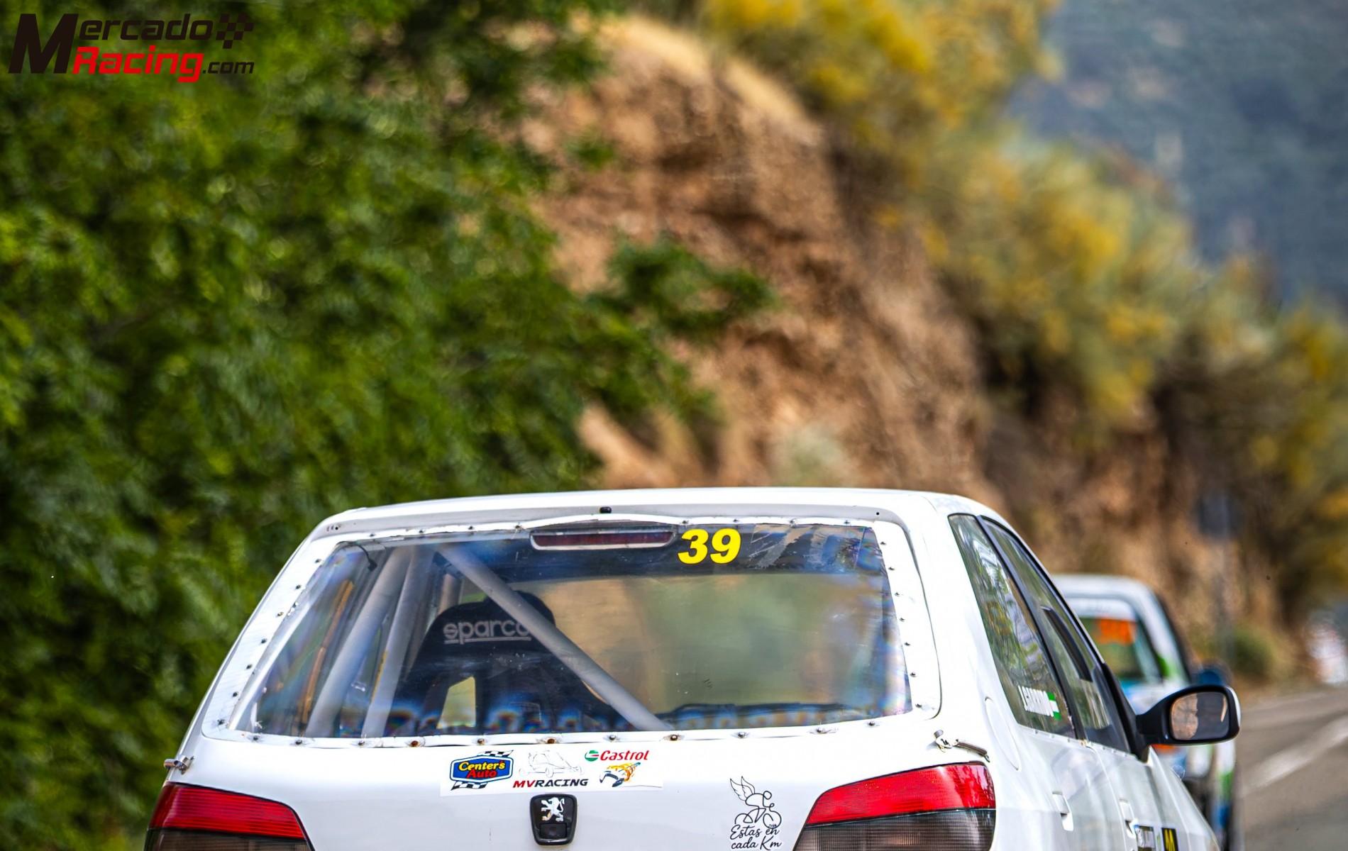 Peugeot 306 circuito y montaña
